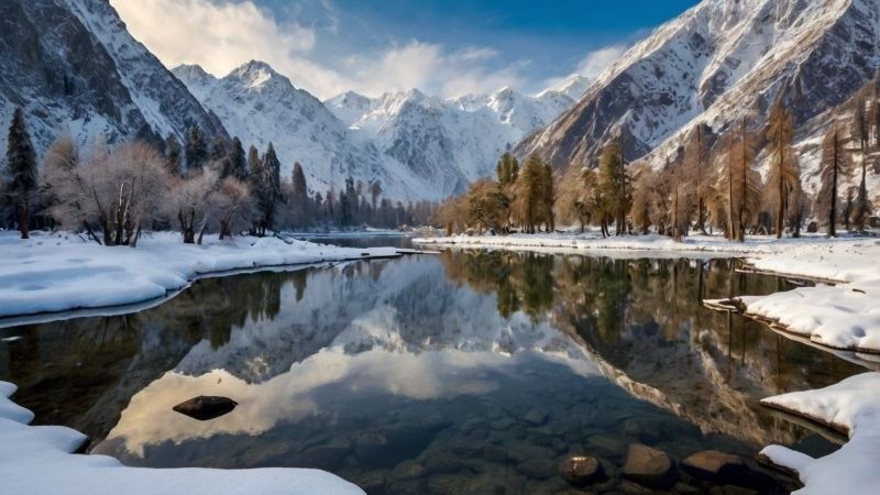 Naltar valley in winter