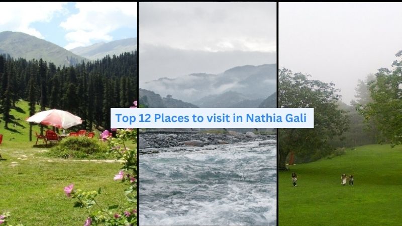 Places to Visit in Nathia Gali 