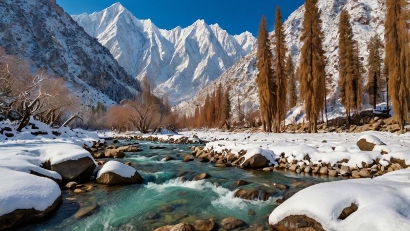 Naltar valley in winter